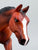 American Quarter Horse Mare ~ Hollywood Gold Family - Walmart SR