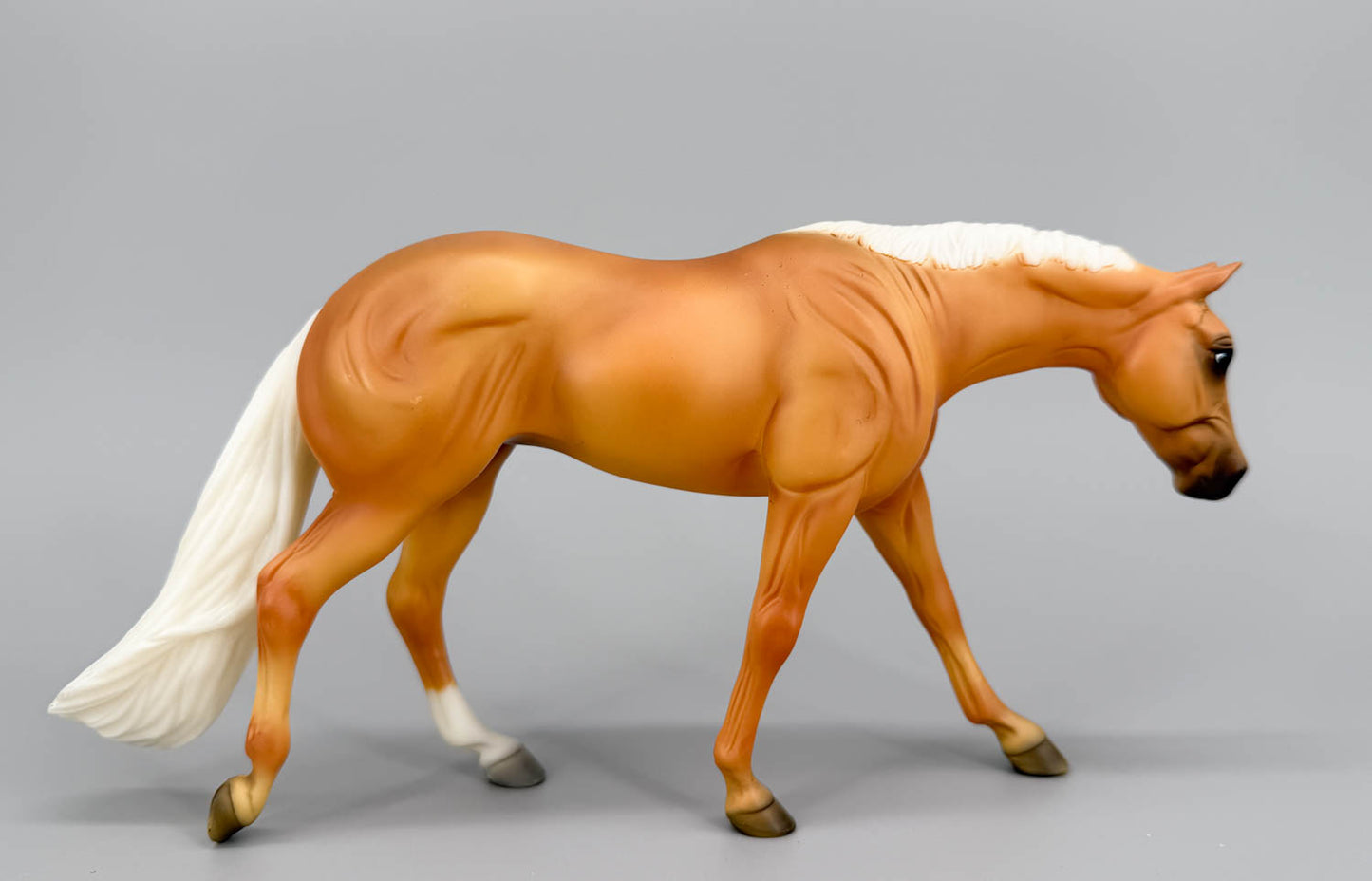 American Quarter Horse Mare, Palomino - Blue Gold Family