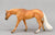 American Quarter Horse Mare, Palomino - Blue Gold Family