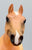 American Quarter Horse Mare, Palomino - Blue Gold Family