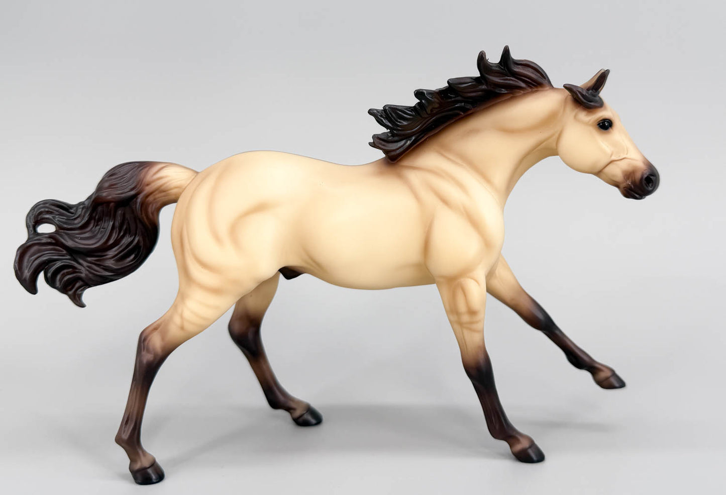 Quarter Horse Stallion ~ Blackfoot - Walmart SR