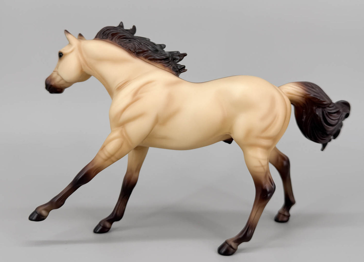 Quarter Horse Stallion ~ Blackfoot - Walmart SR