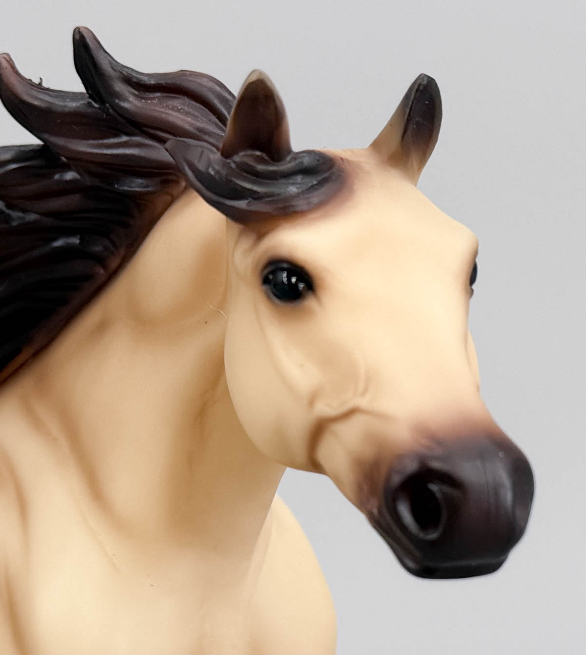 Quarter Horse Stallion ~ Blackfoot - Walmart SR