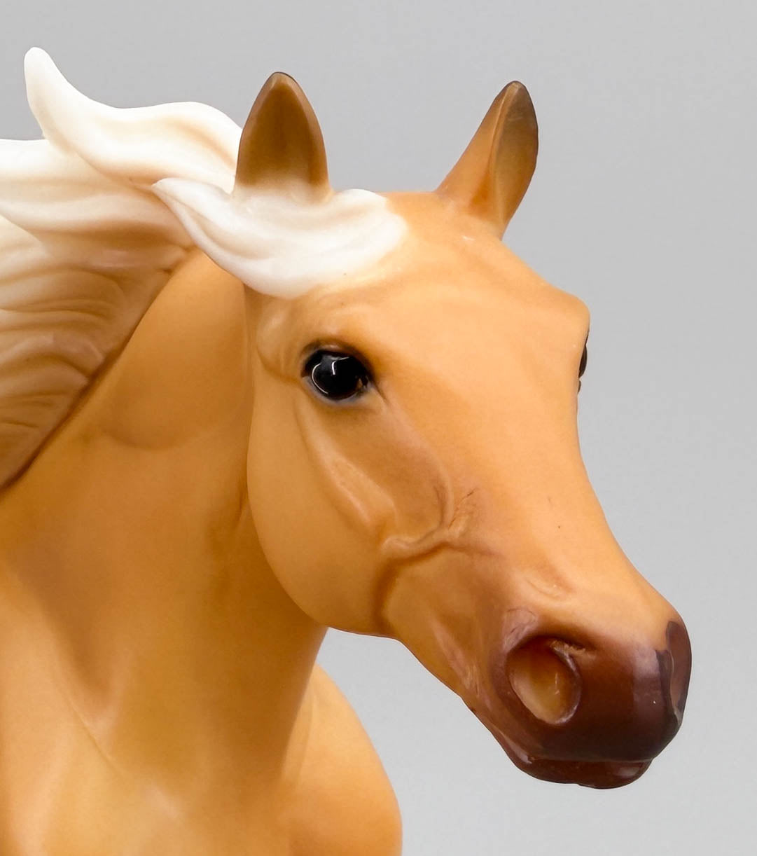 American Quarter Horse Stallion ~ Hollywood Gold - Walmart SR