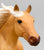 American Quarter Horse Stallion ~ Hollywood Gold - Walmart SR