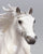 American Quarter Horse Stallion, Pearly Grey - Walmart SR