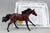 American Quarter Horse Stallion ~ Poco Bueno - Walmart SR