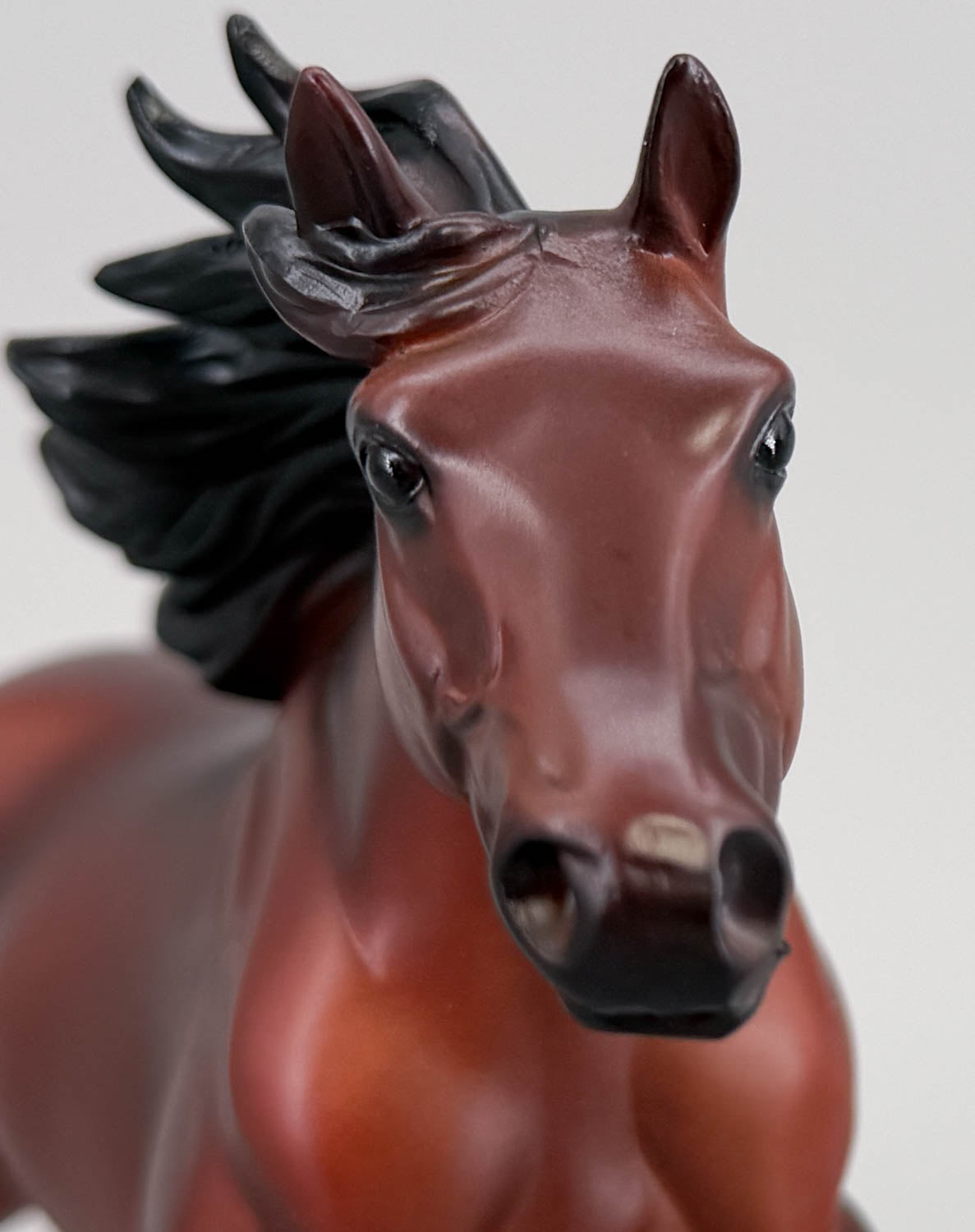 American Quarter Horse Stallion ~ Poco Bueno - Walmart SR
