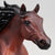 American Quarter Horse Stallion ~ Poco Bueno - Walmart SR