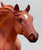 American Quarter Horse Stallion - Son O' Leo Set, Walmart SR