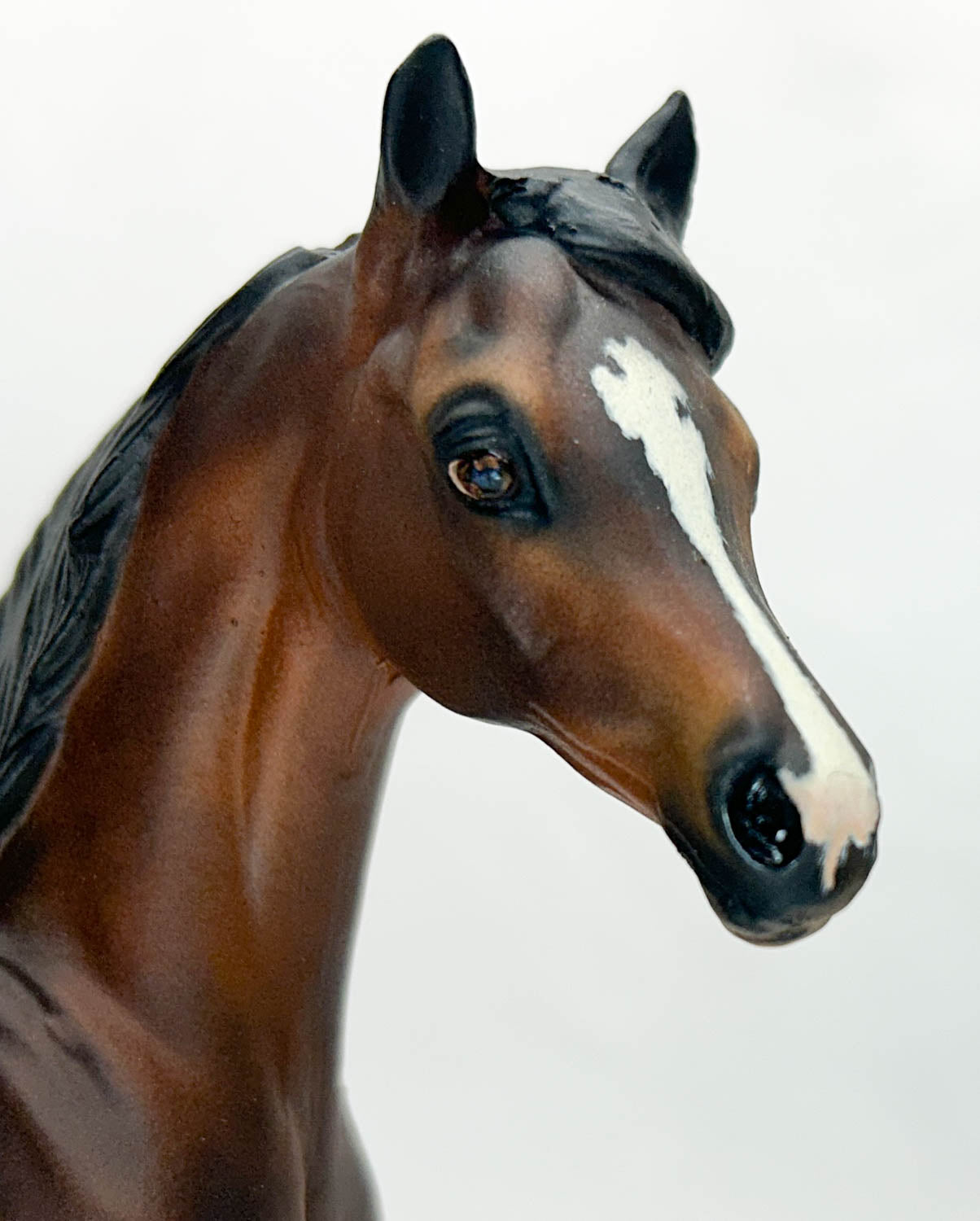Arabian Mare ~ Classic Cat, Custom by Amanda Dionne