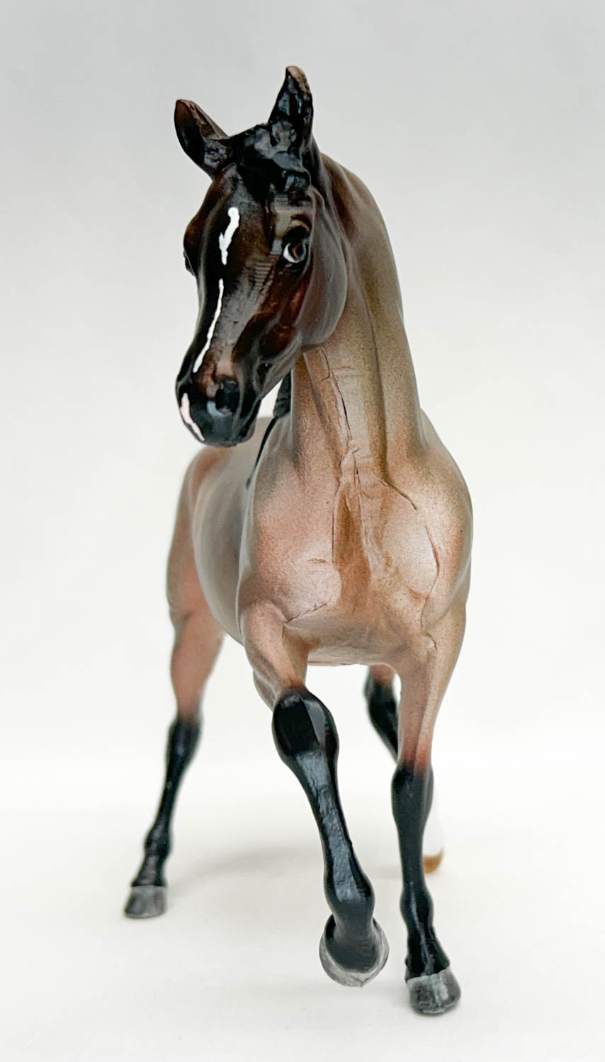 Classic Arabian Mare ~ Sahar, Custom Bay Roan by Amanda Dionne