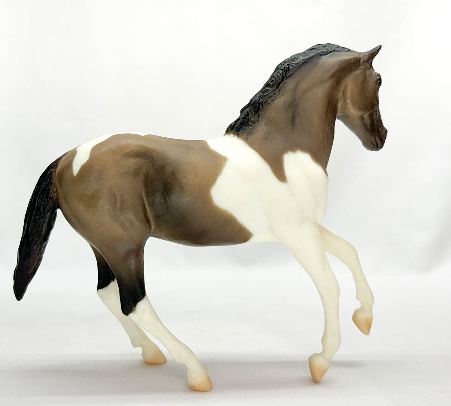 Ginger, Grulla Pinto - Walmart SR