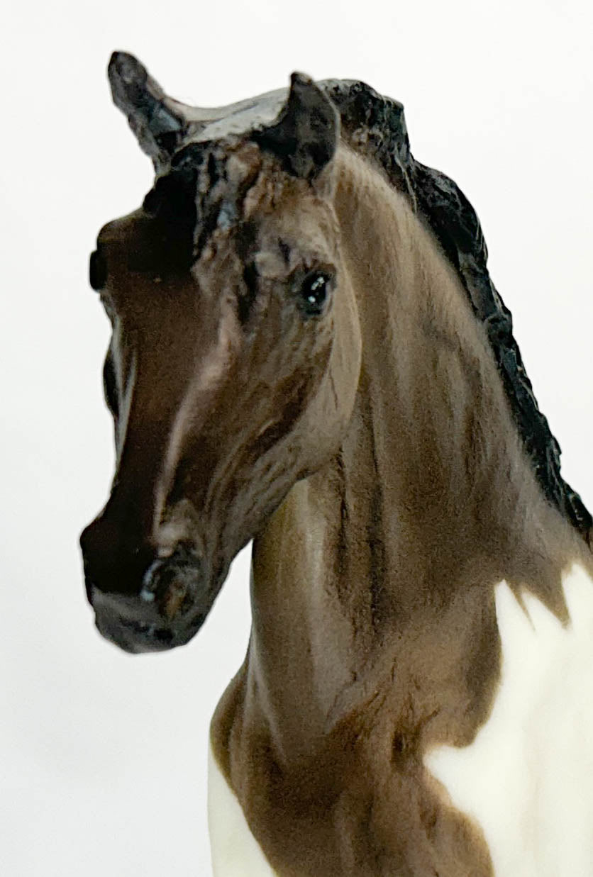 Ginger, Grulla Pinto - Walmart SR