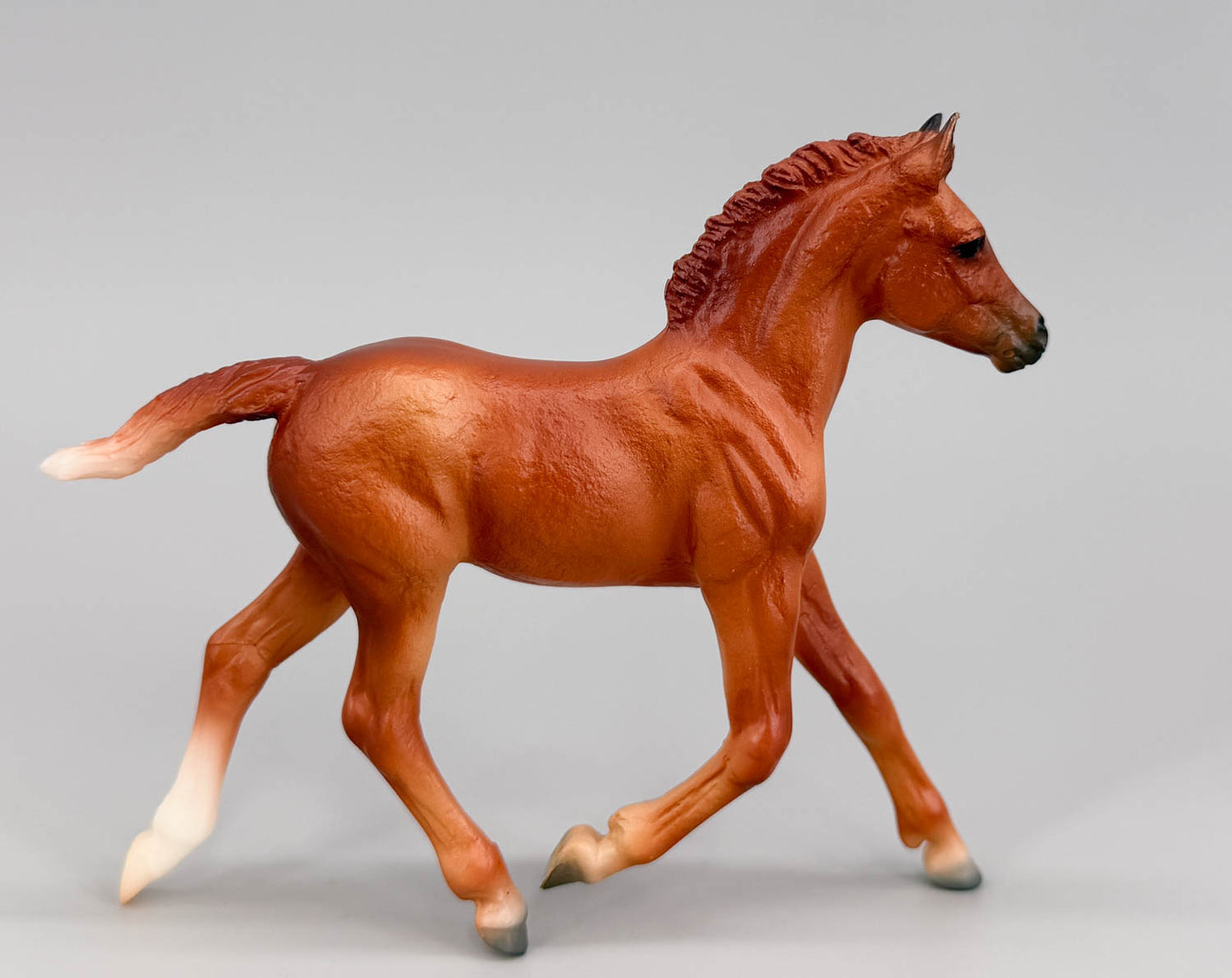 Haflinger Foal, Chestnut - Tractor Supply SR