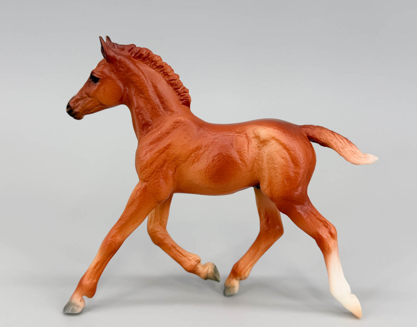 Haflinger Foal, Chestnut - Tractor Supply SR
