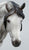 Haflinger Mare, Grey - Tractor Supply SR