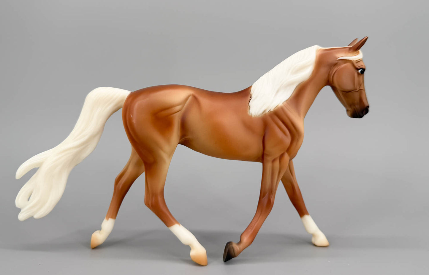 Morgan Mare, Palomino