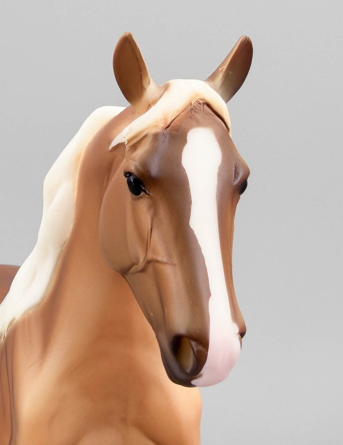 Morgan Mare, Palomino