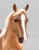 Morgan Mare, Palomino