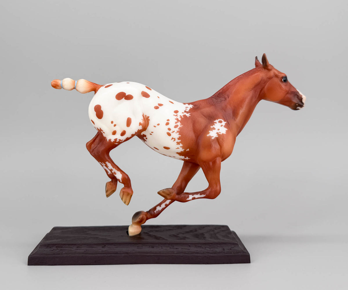 Polo Pony ~ Santino, Chestnut Appaloosa - Web Special