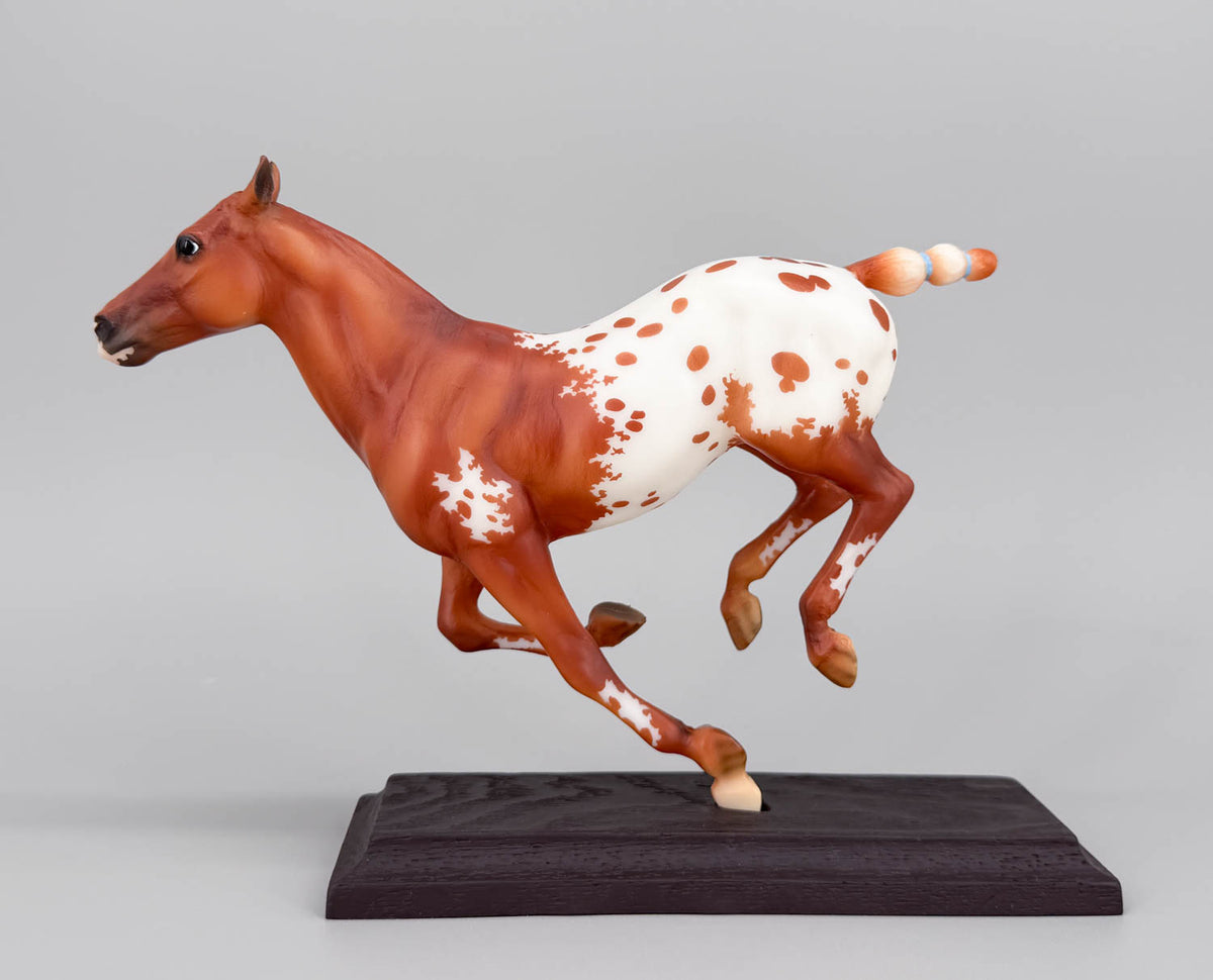 Polo Pony ~ Santino, Chestnut Appaloosa - Web Special