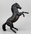 Rearing Stallion ~ Flicka - Walmart SR