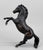 Rearing Stallion ~ Flicka - Walmart SR