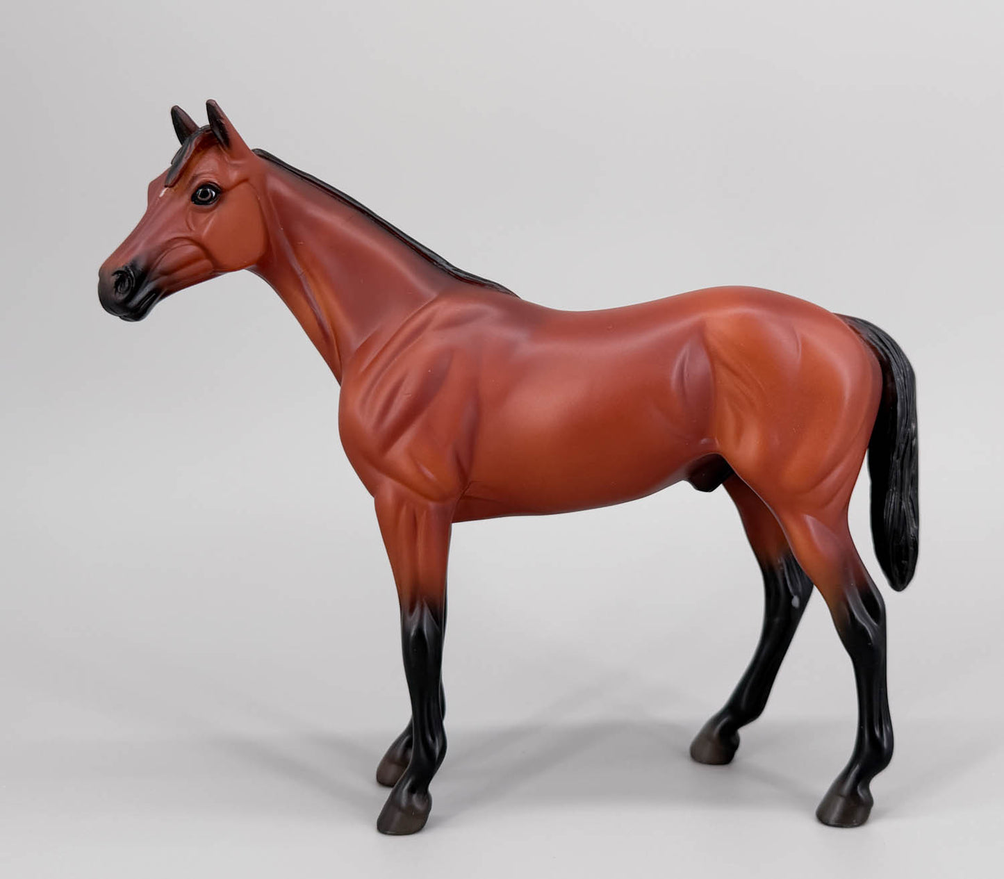 Show Thoroughbred ~ American Pharoah