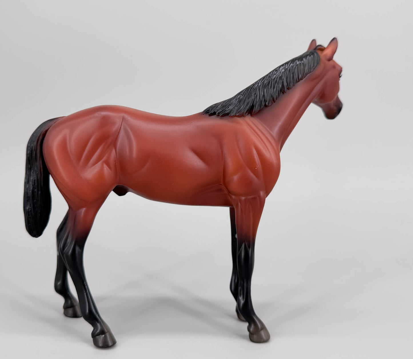 Show Thoroughbred ~ American Pharoah