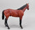 Show Thoroughbred ~ American Pharoah