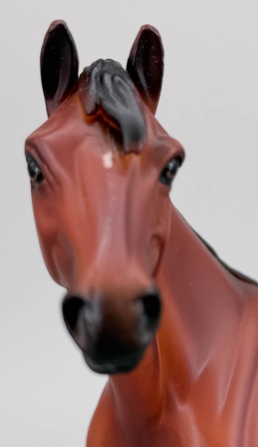 Show Thoroughbred ~ American Pharoah