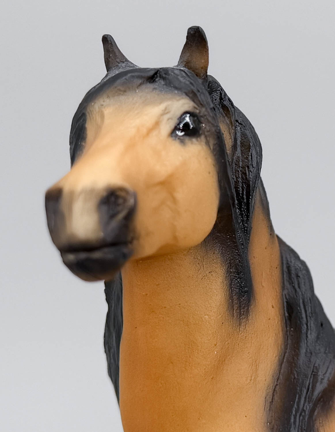 Spirit Kiger Mustang Family - Walmart SR - 2002 Only