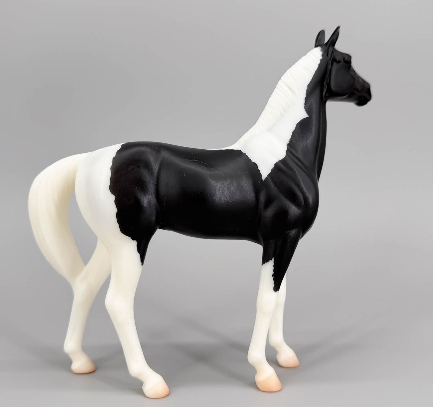 Standing Thoroughbred ~ National Velvet aka The Pie
