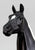 Standing Thoroughbred ~ National Velvet aka The Pie
