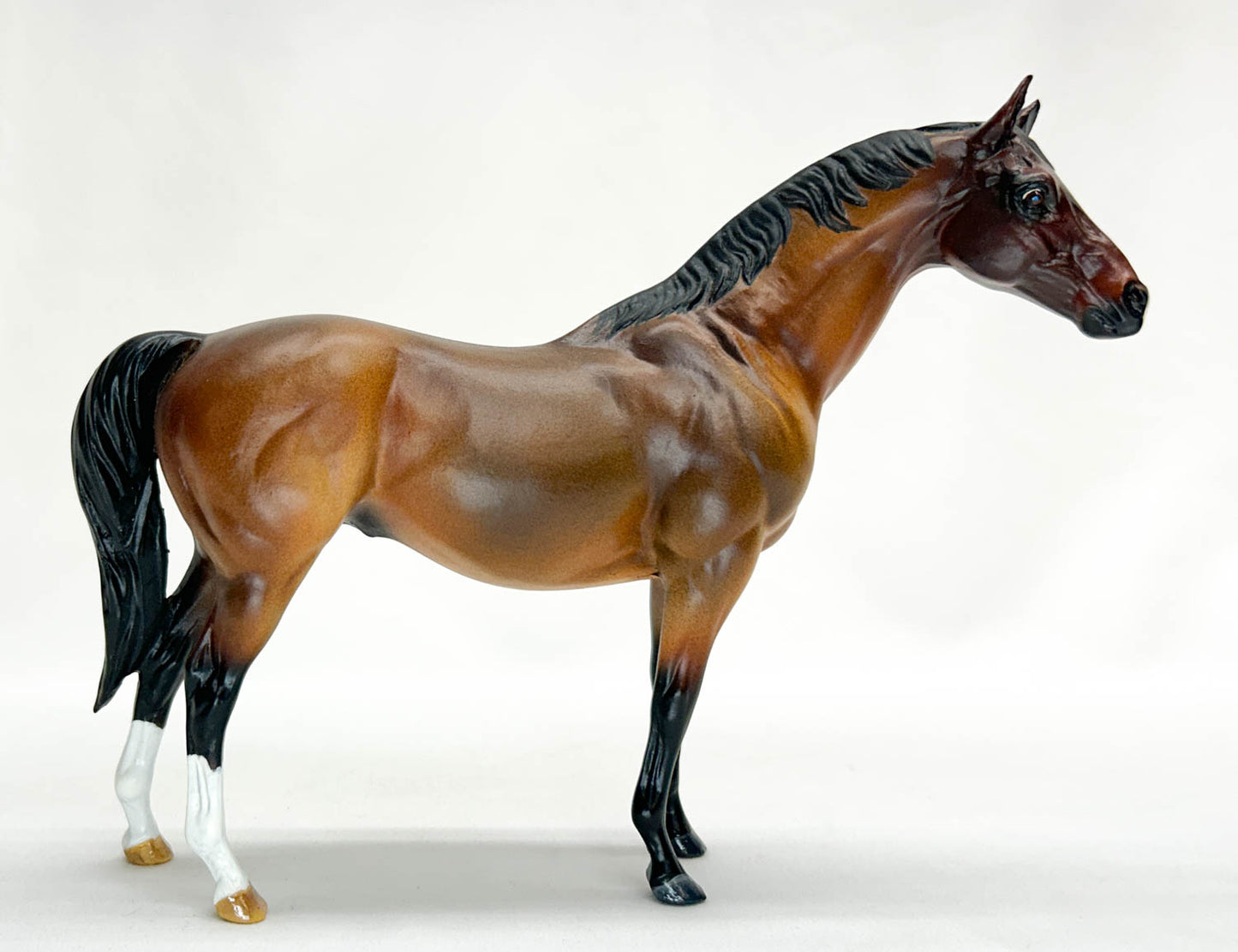 Terrang ~ Haboob, Bay Roan - Custom by Jessica Fry