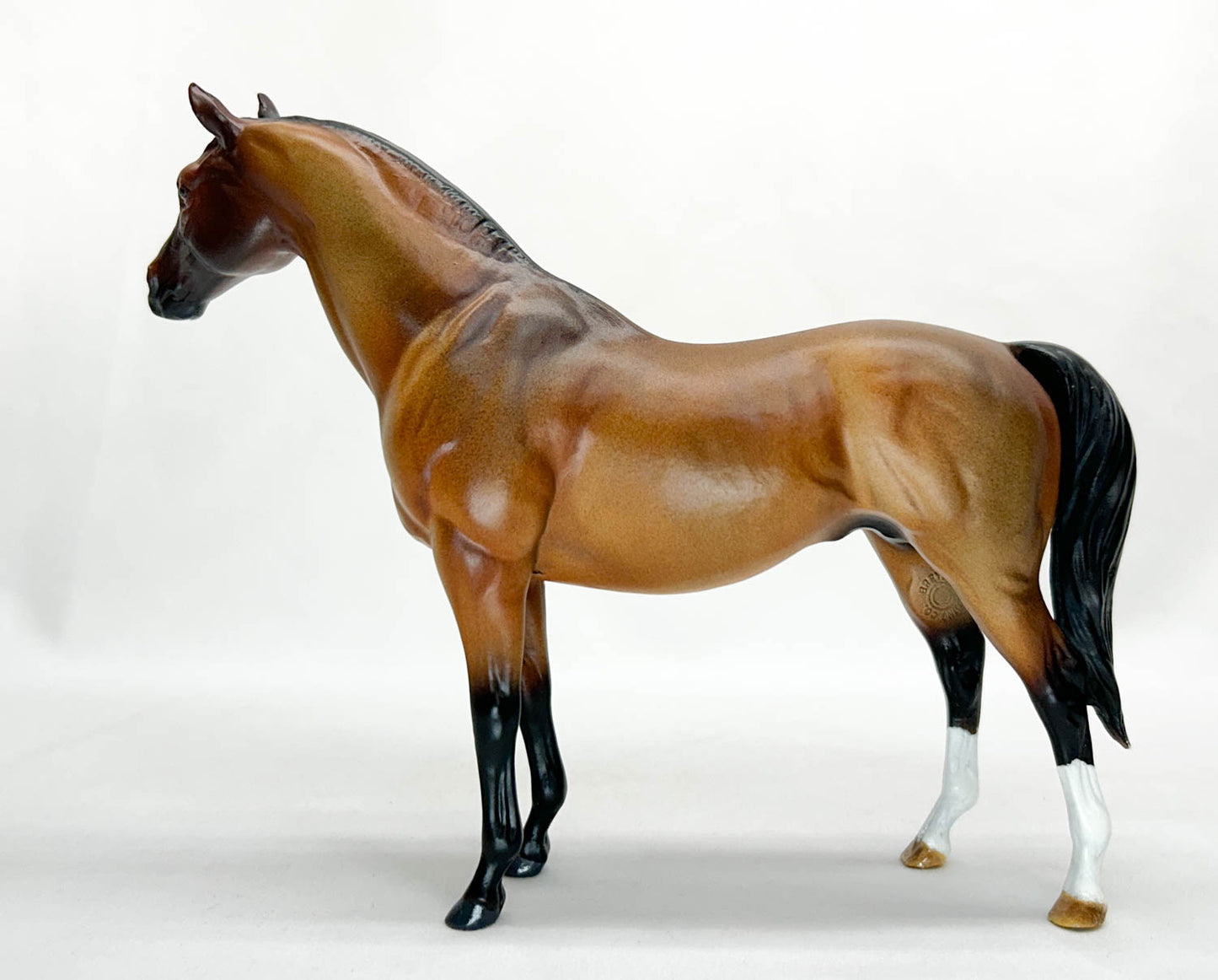 Terrang ~ Haboob, Bay Roan - Custom by Jessica Fry