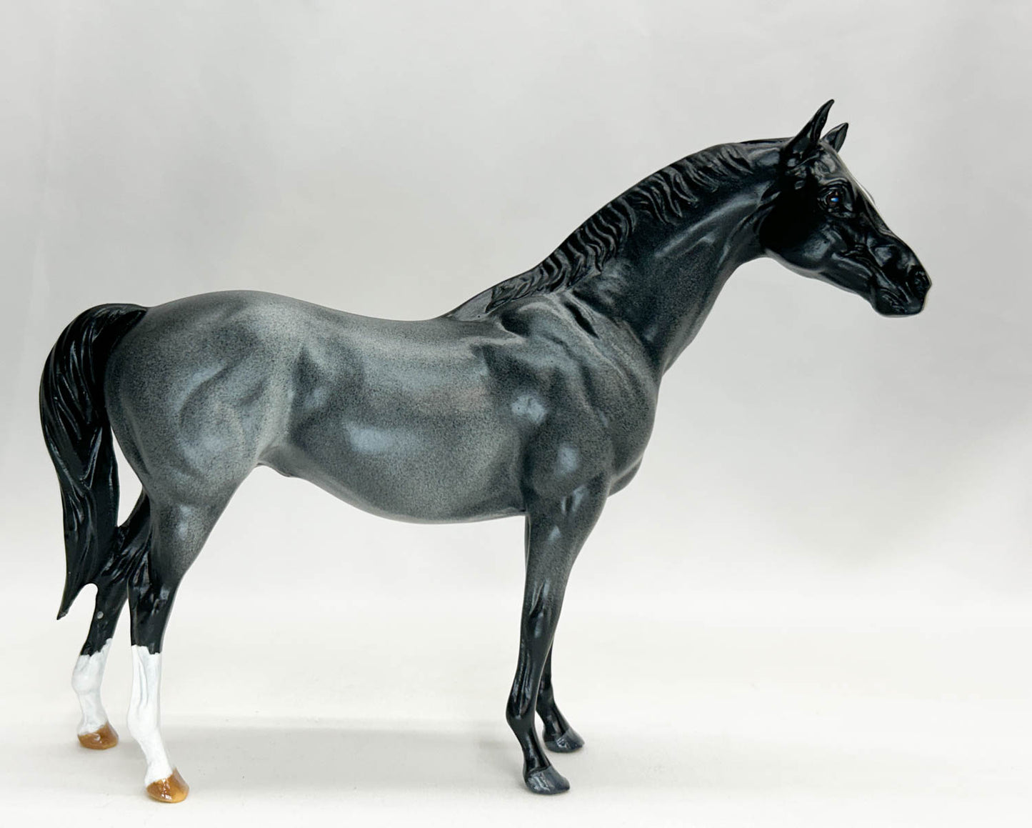Terrang, Blue Roan - Custom  by Jessica Fry