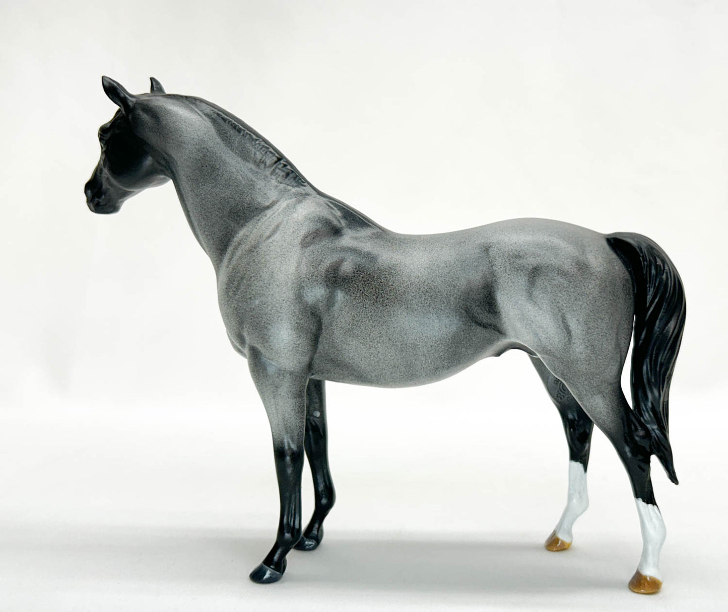 Terrang, Blue Roan - Custom  by Jessica Fry