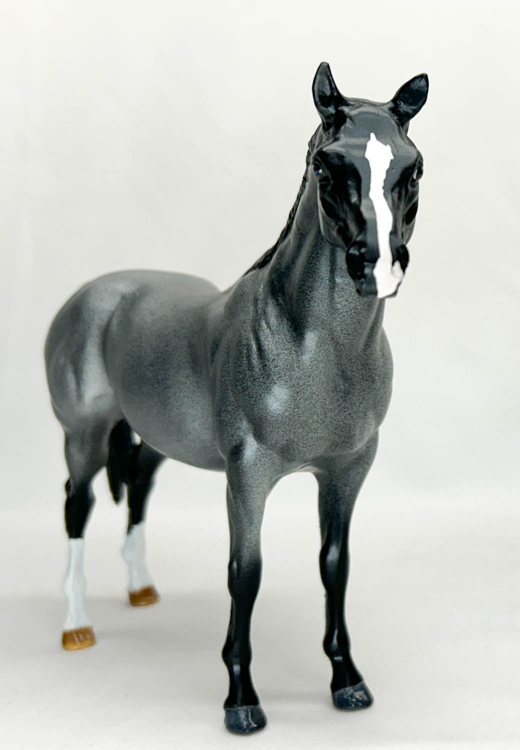 Terrang, Blue Roan - Custom  by Jessica Fry