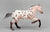 Roping Horse ~ Rambler, Glossy Bay Appaloosa - Web Special