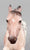 Roping Horse ~ Rambler, Glossy Bay Appaloosa - Web Special