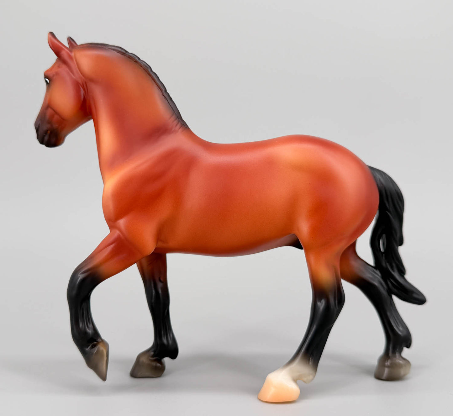 Brabant ~ Mighty Muscle