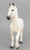 Walking Draft Horse ~ Percheron - TSC SR