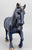 Clydesdale Stallion ~ Big Blue - Tractor Supply SR