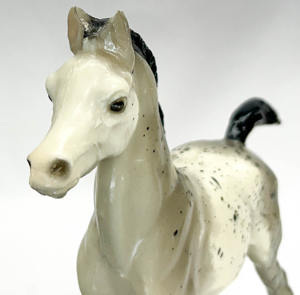 Family Arabian Foal ~ Spot, Grey Appaloosa, Glossy - VARIATION