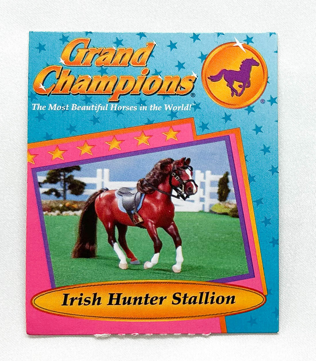 Grand Champions Cantering Stallion ~ Fitzpatrick