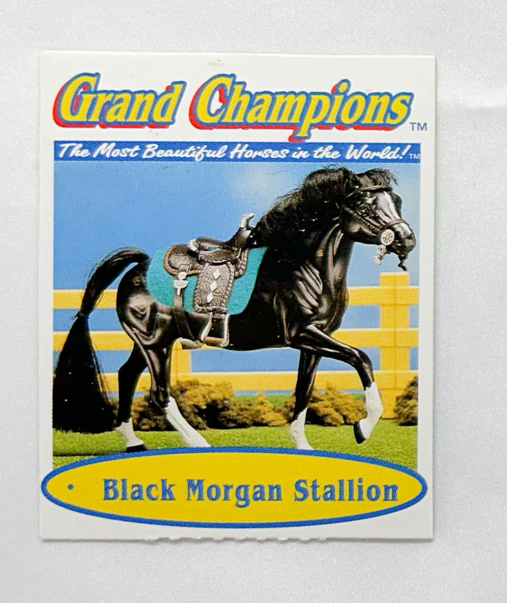 Grand Champions Original Stallion ~ Spark of Courage