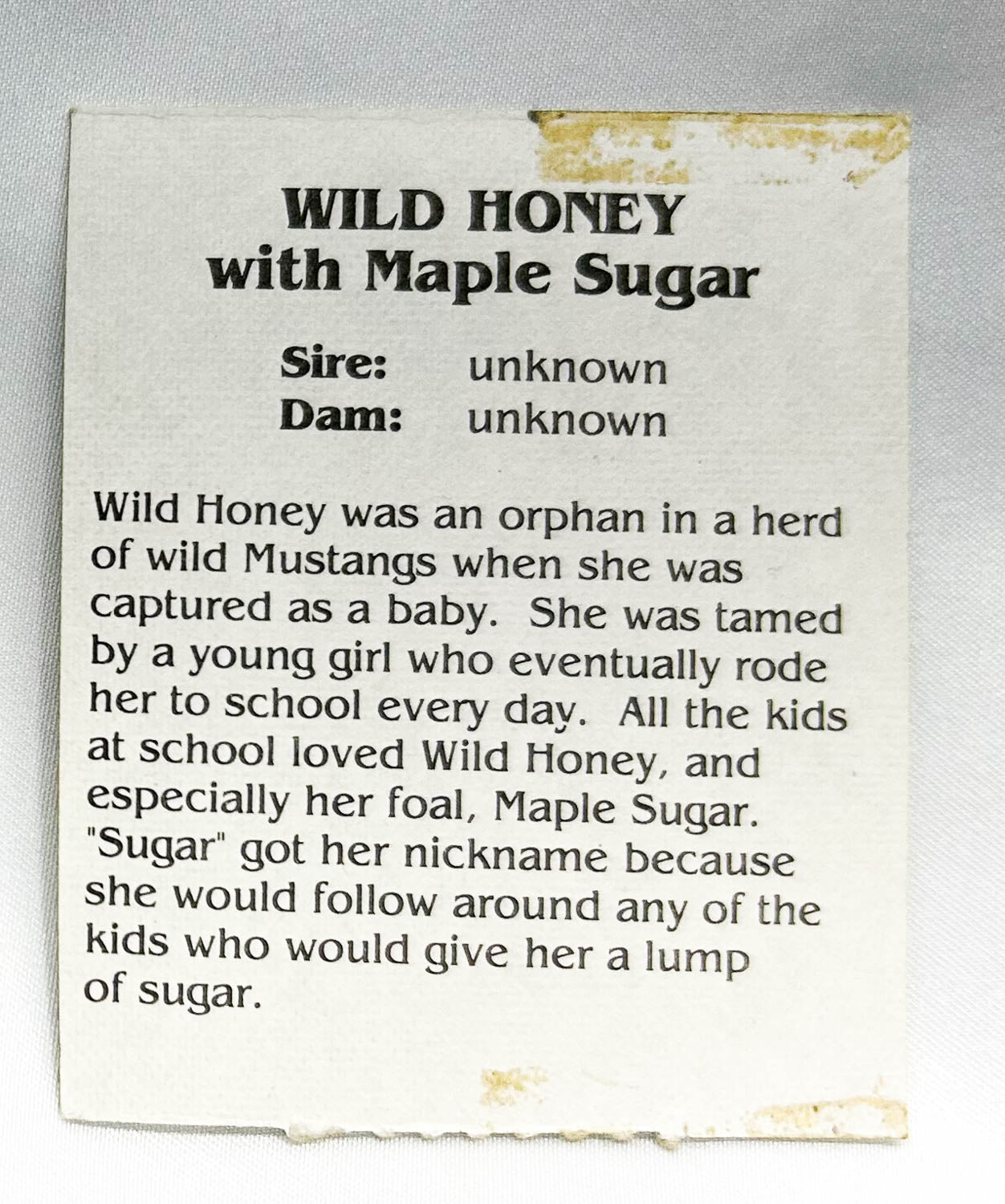 Grand Champions Original Mare and Foal ~ Wild Honey & Maple Sugar
