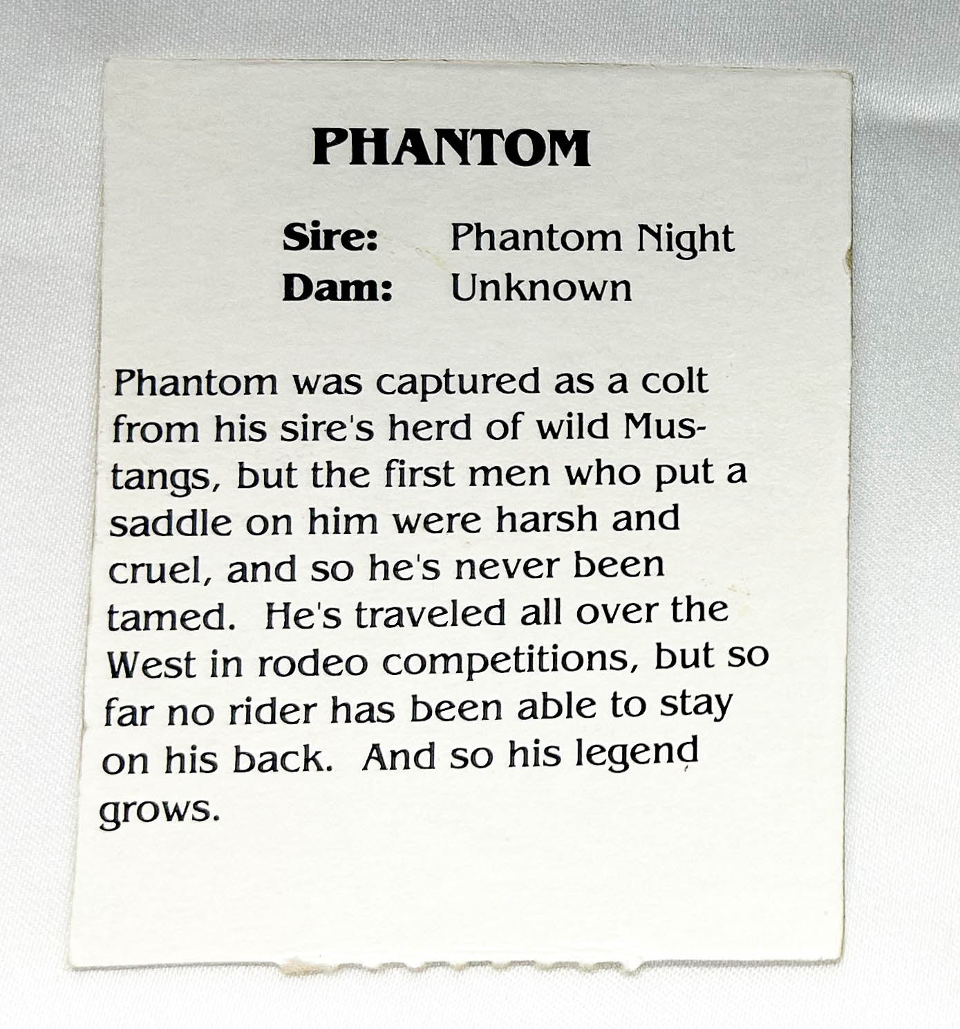 Grand Champions Original Stallion ~ Phantom